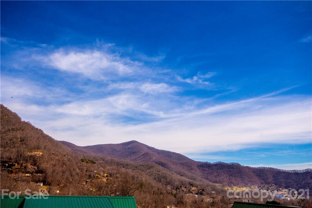 60 Stoney Ridge Loop Maggie Valley, NC 28751 - Photo 4 of 17