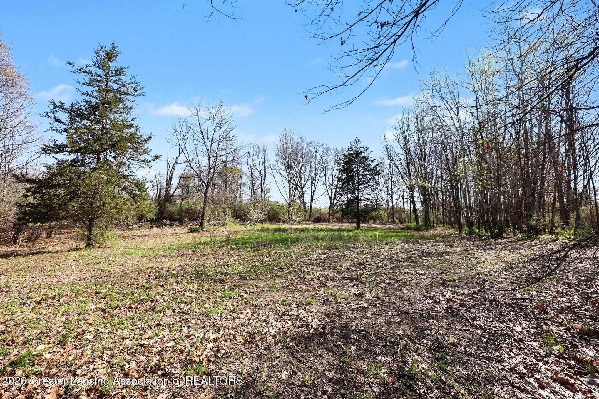 0 Territorial Road Stockbridge, MI 49285 - Photo 13 of 17 005_file_3551