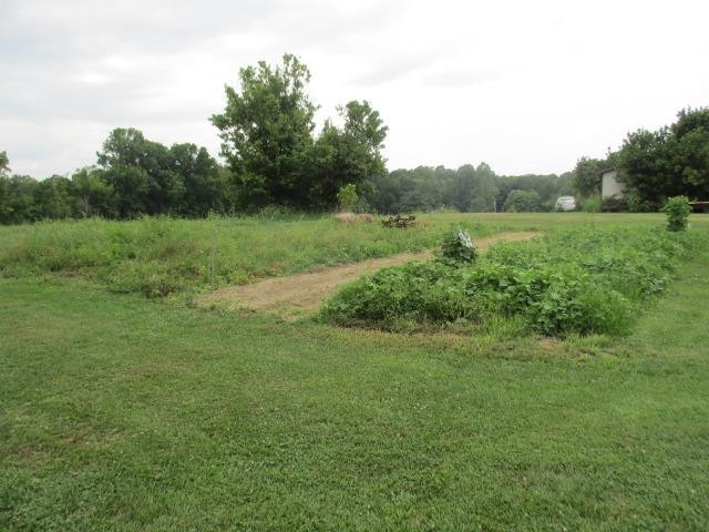 53 Mulloy Lane Butler, KY 41006 - Photo 17 of 47 Gallery Image 17