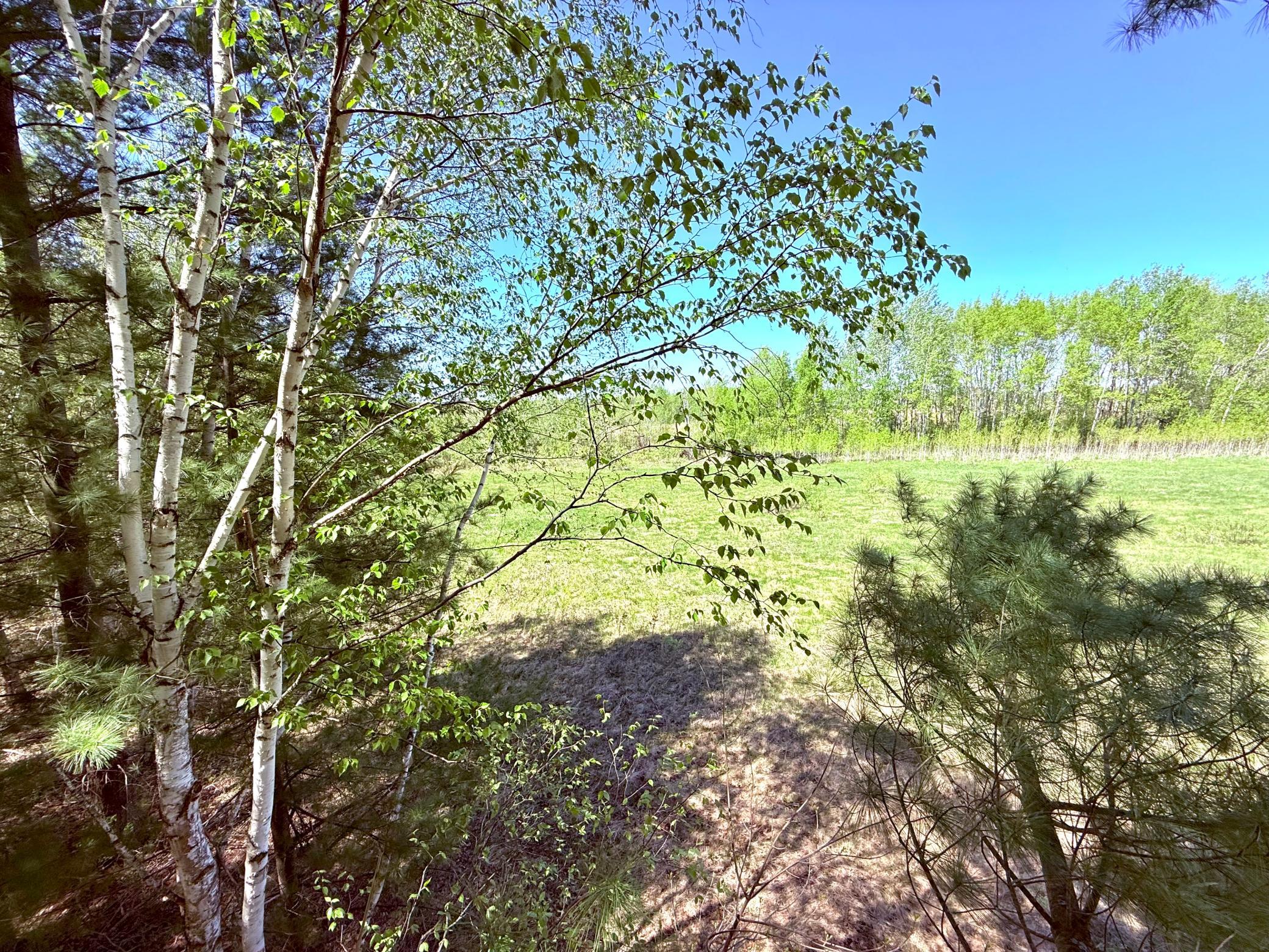Tbd Ivy Road Milaca, MN 56353 - Photo 11 of 24