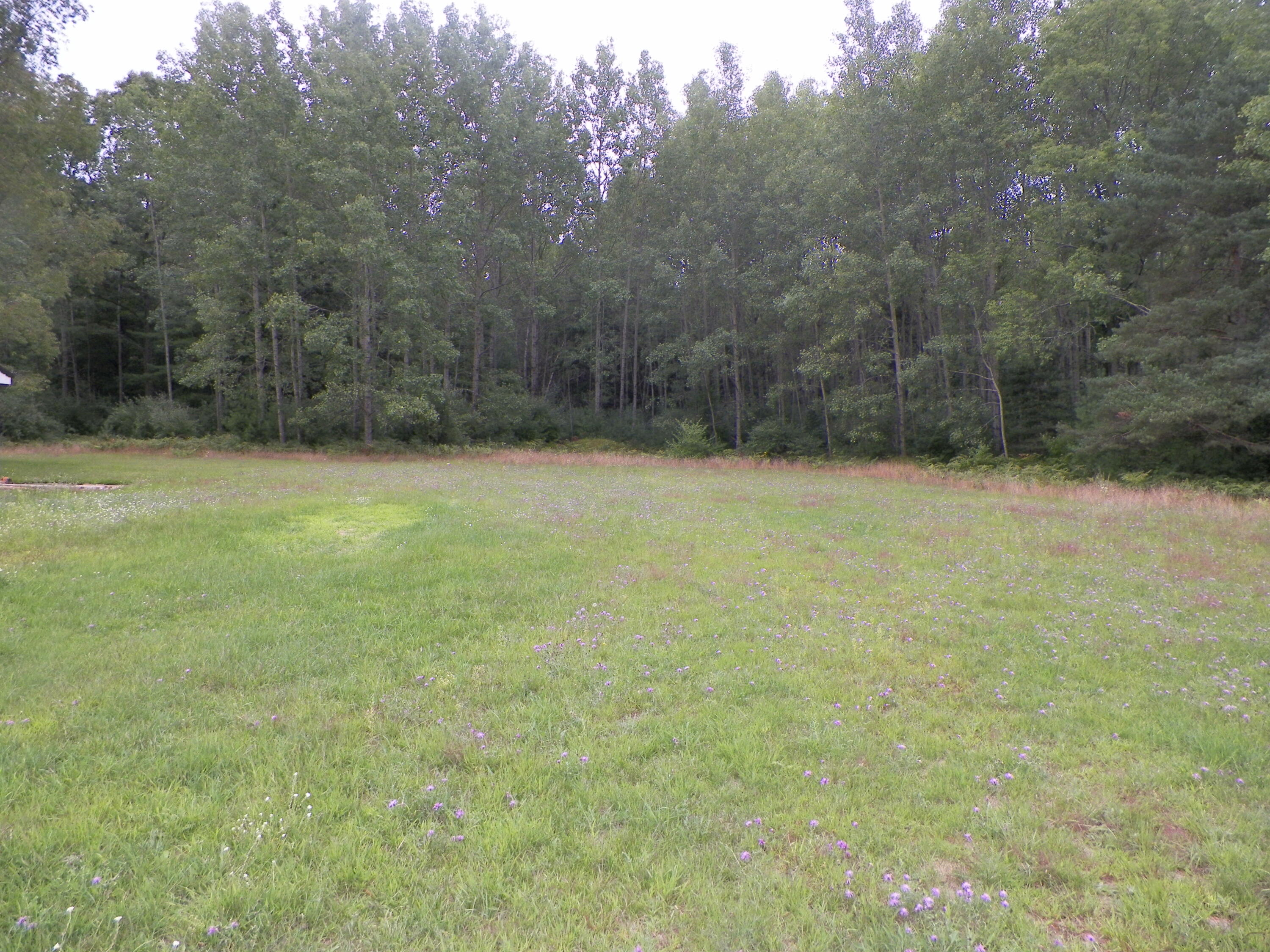 14910 Craft Road Hersey, MI 49639 - Photo 27 of 32 100_3263