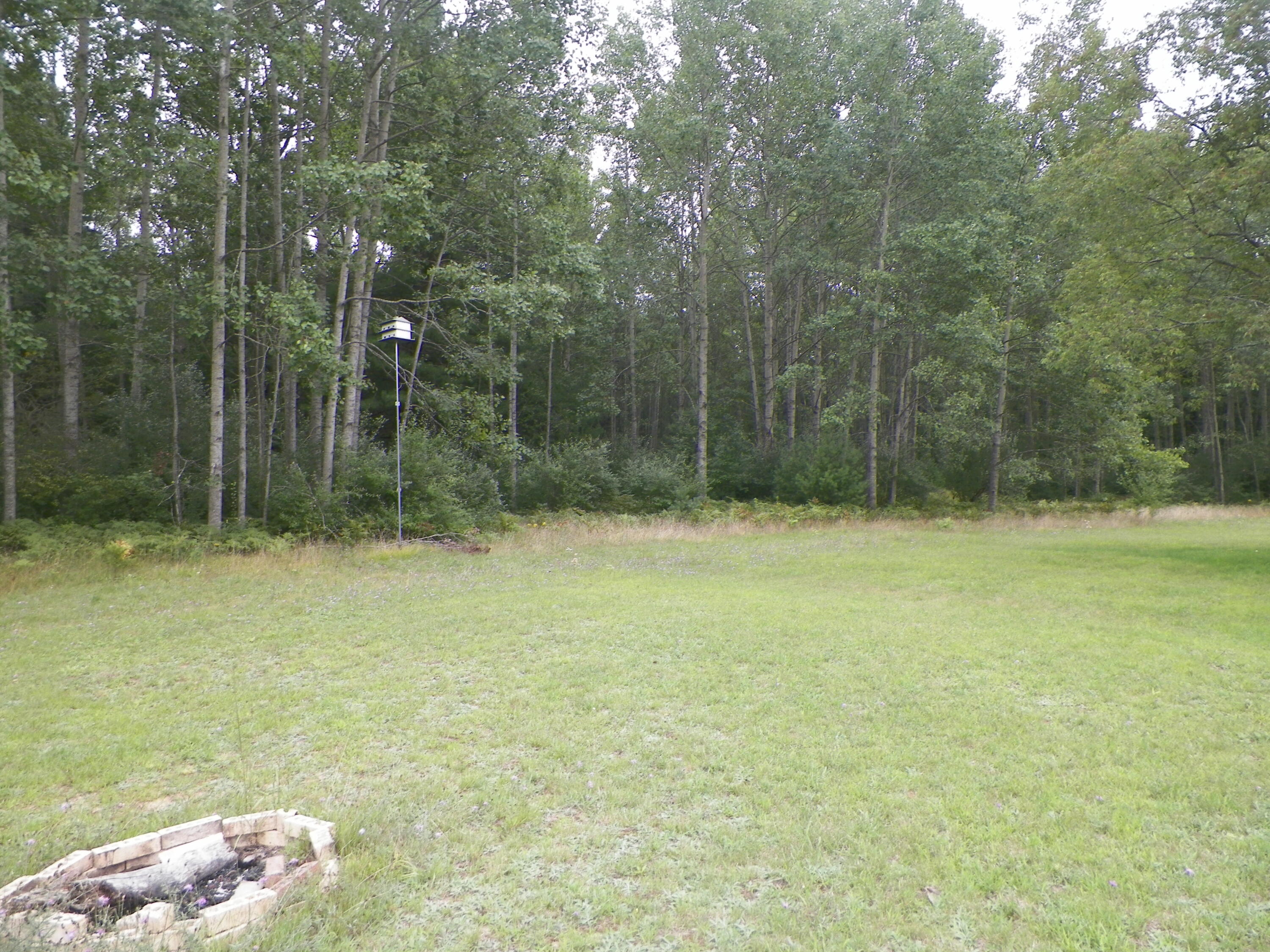 14910 Craft Road Hersey, MI 49639 - Photo 5 of 32 100_3254
