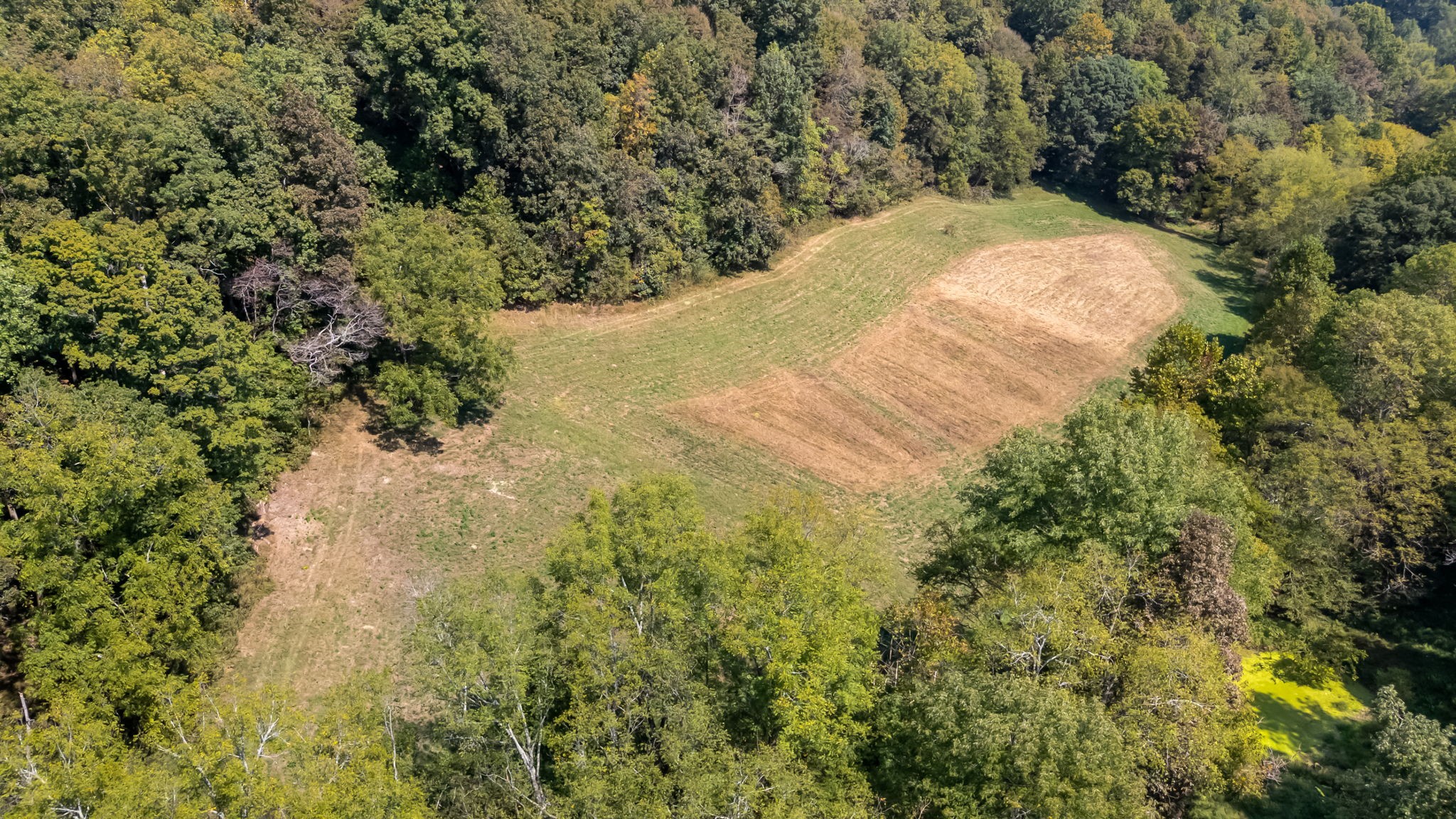 384 Big Spring Hollow Road Pulaski, TN 38478 - Photo 2 of 54 Gallery Image 2