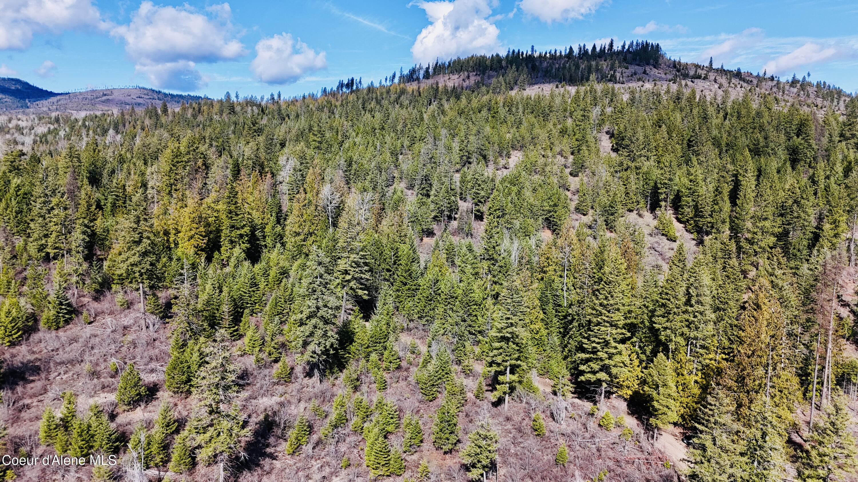 dji_fly_20260325_110702_0124_17745488538