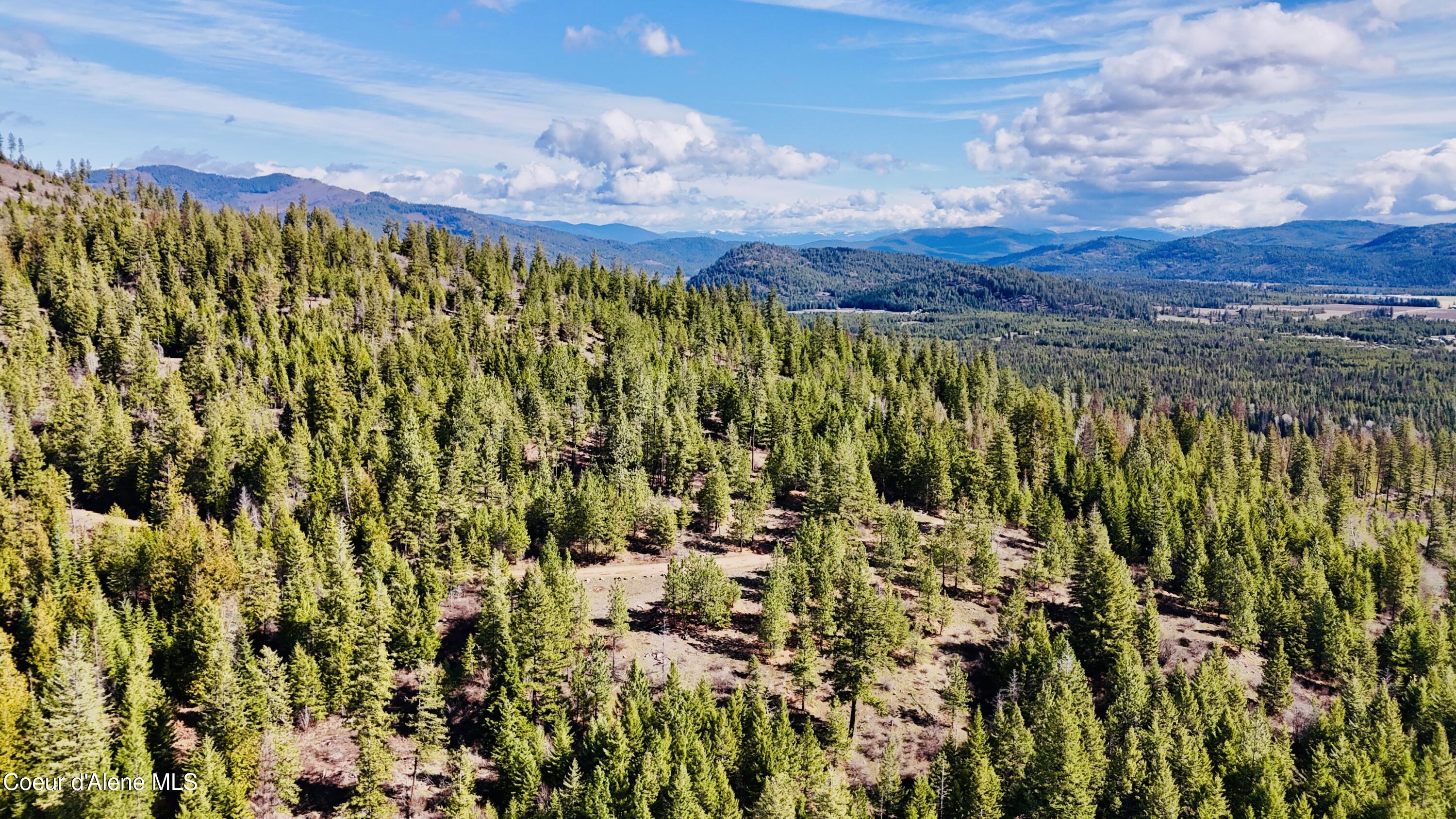 Nka North Whittum Road Priest River, ID 83856 - Photo 11 of 12 dji_fly_20260325_111234_0132_17745488382