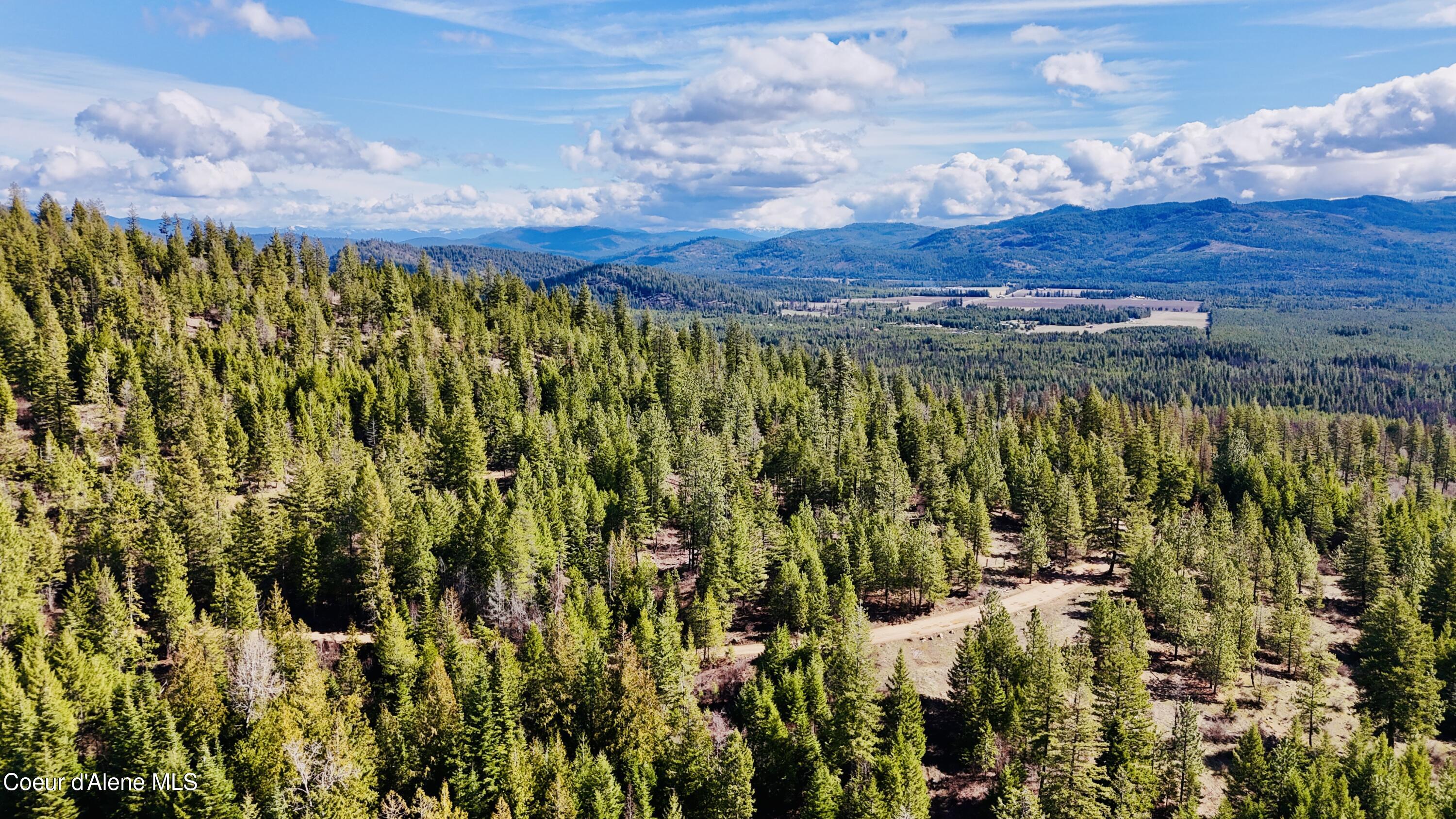 Nka North Whittum Road Priest River, ID 83856 - Photo 12 of 12 dji_fly_20260325_111310_0133_17745488381