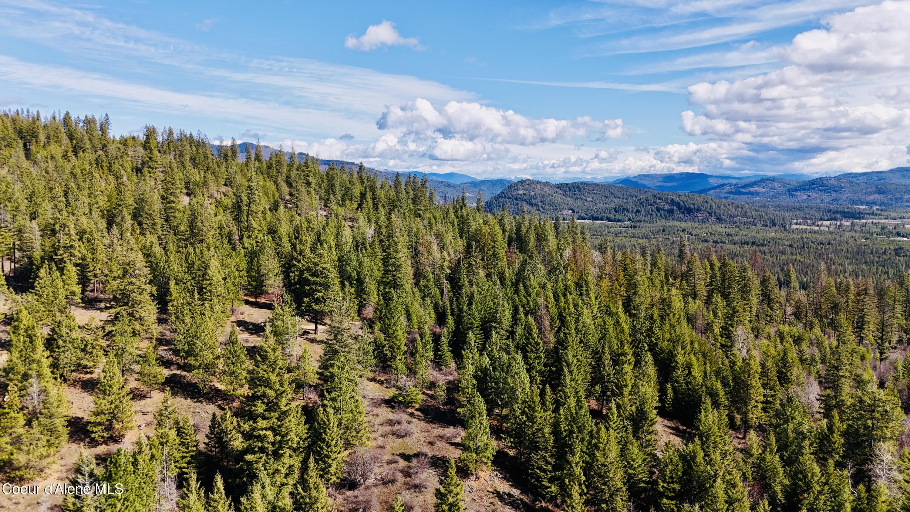 Nka North Whittum Road Priest River, ID 83856 - Photo 2 of 12 dji_fly_20260325_111014_0130_17745488394