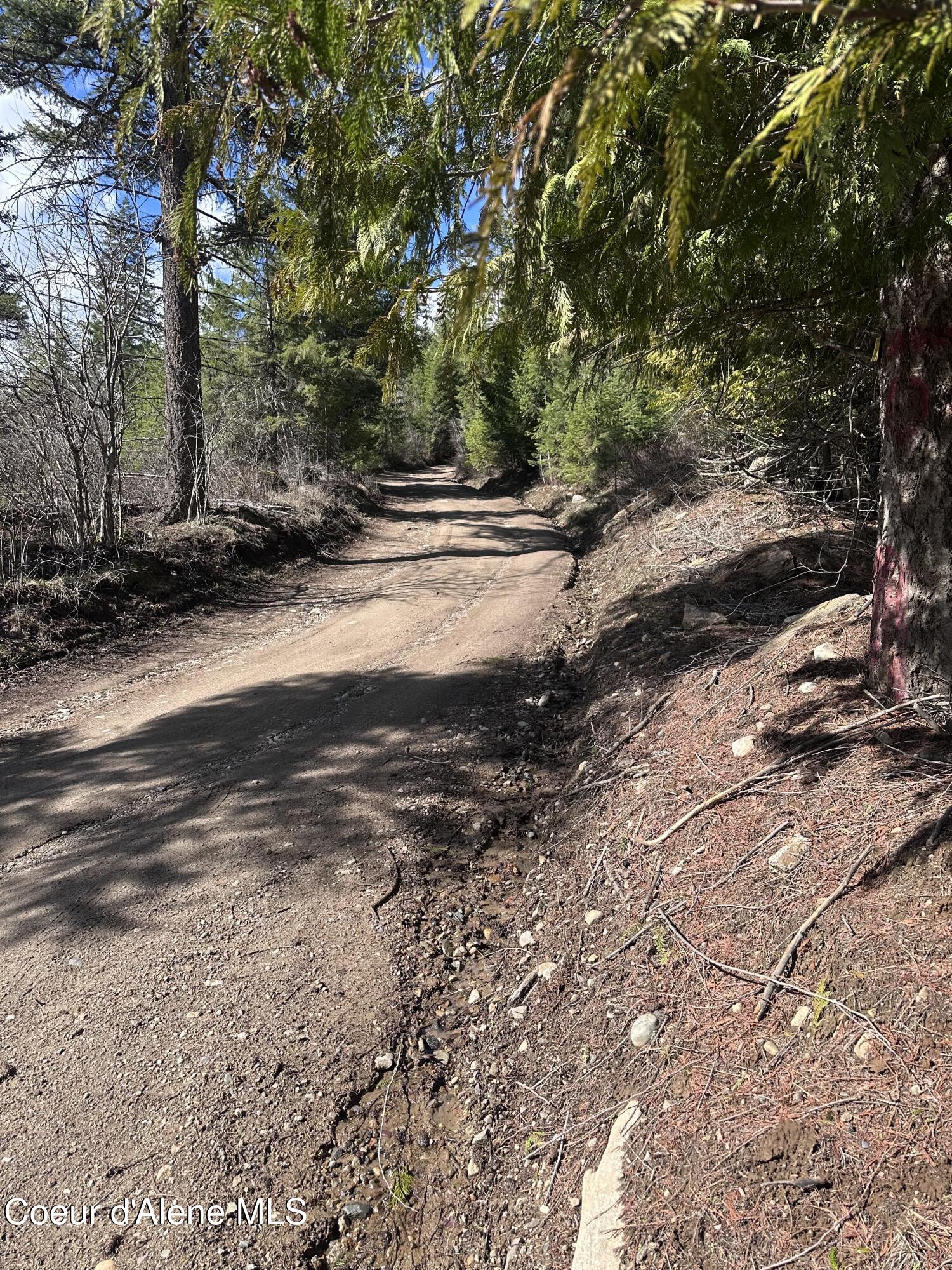 Nka North Whittum Road Priest River, ID 83856 - Photo 3 of 12 IMG_3899