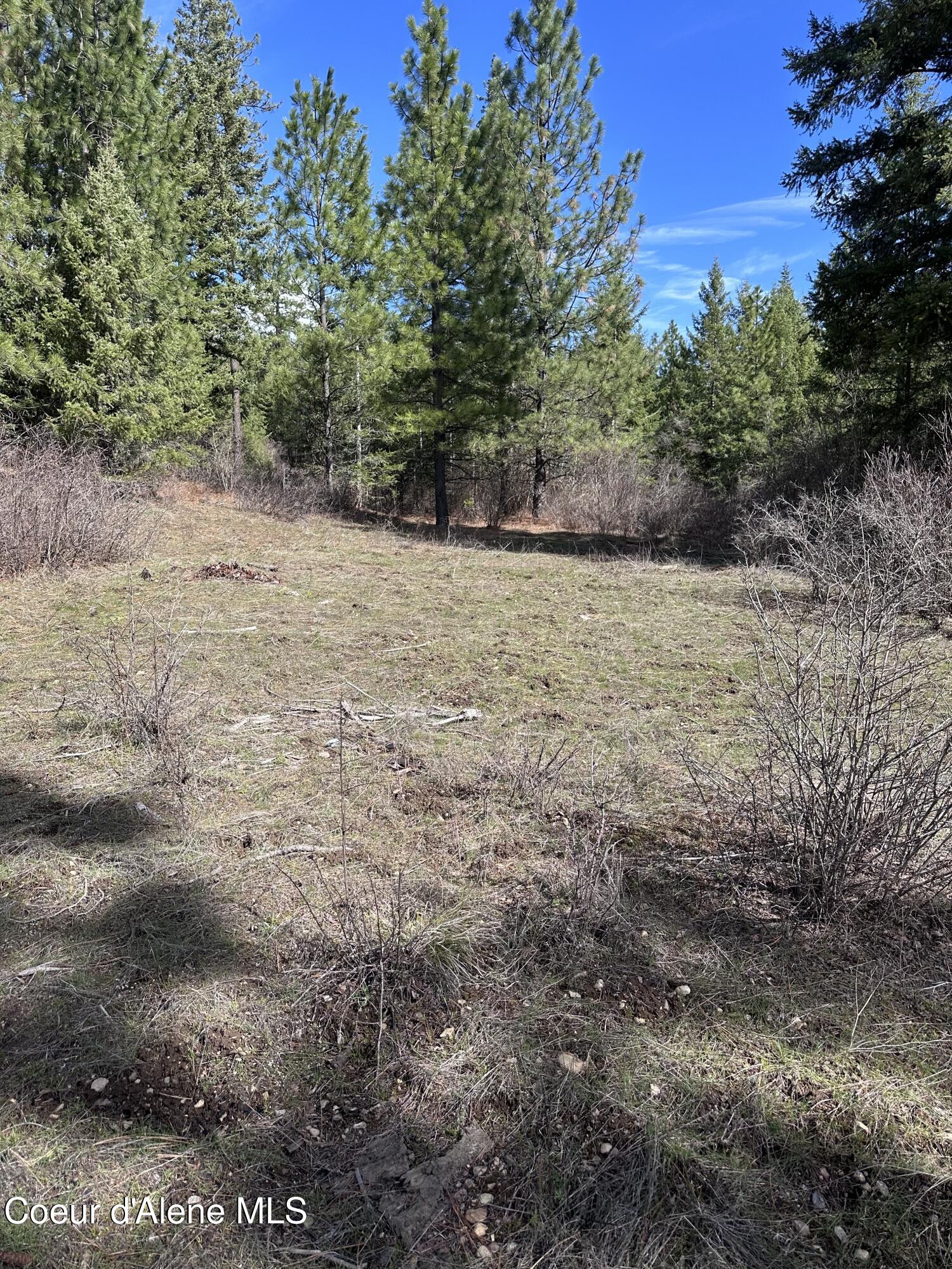 Nka North Whittum Road Priest River, ID 83856 - Photo 4 of 12 IMG_3902