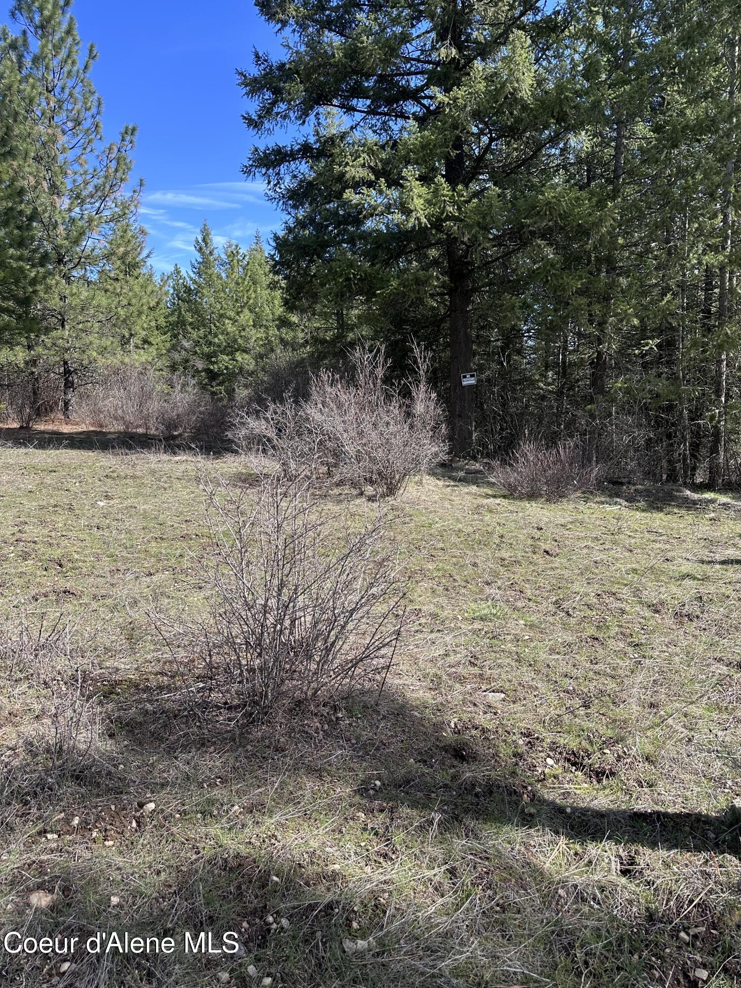 Nka North Whittum Road Priest River, ID 83856 - Photo 5 of 12 IMG_3903