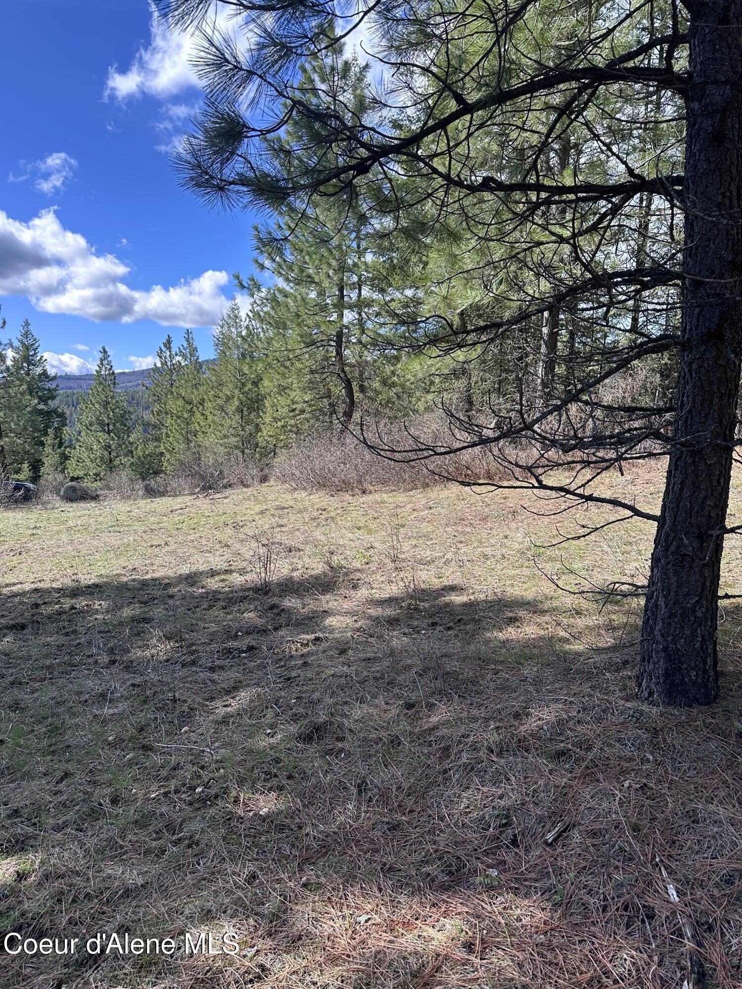 Nka North Whittum Road Priest River, ID 83856 - Photo 6 of 12 IMG_3905