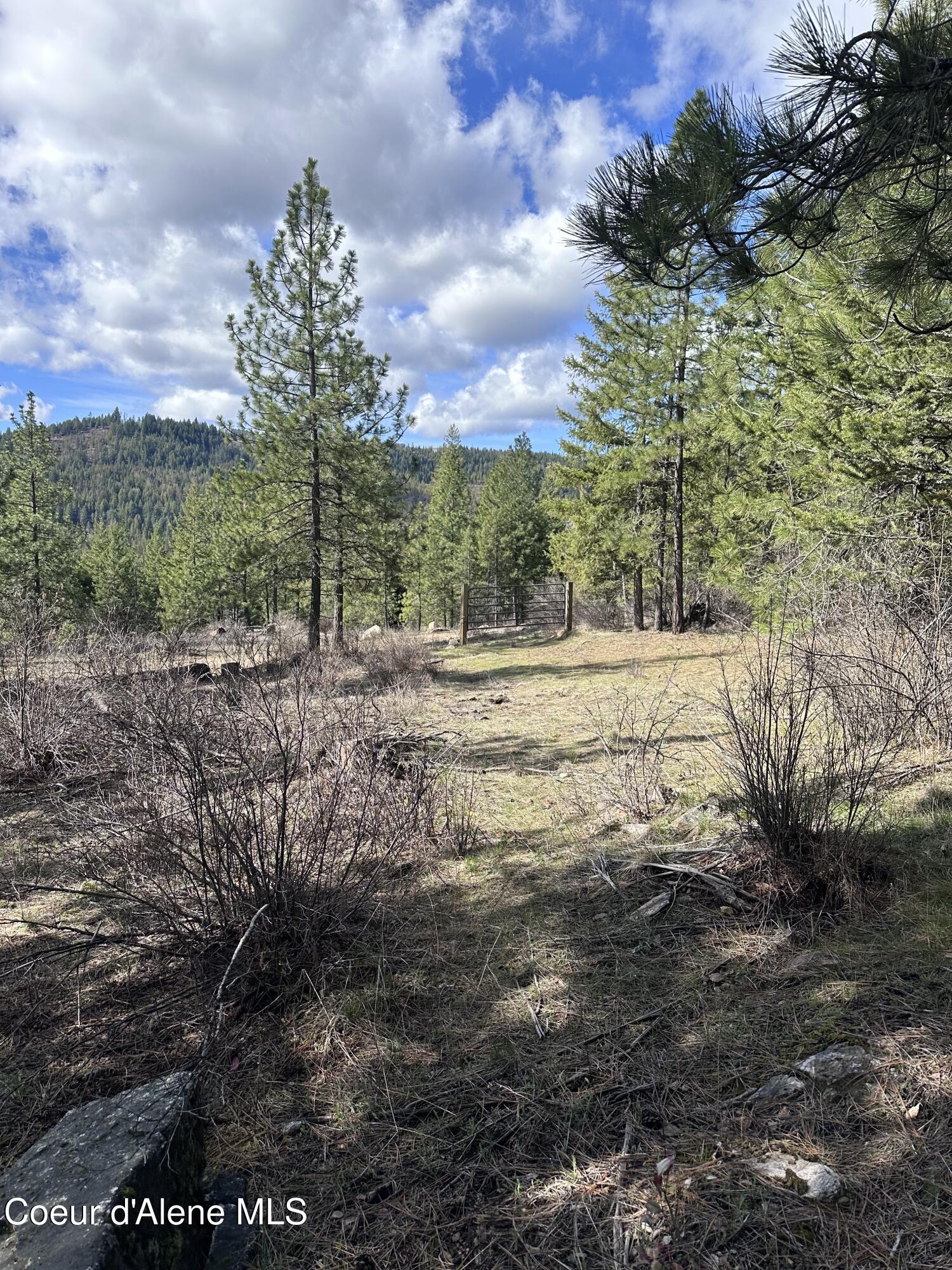 Nka North Whittum Road Priest River, ID 83856 - Photo 7 of 12 IMG_3906