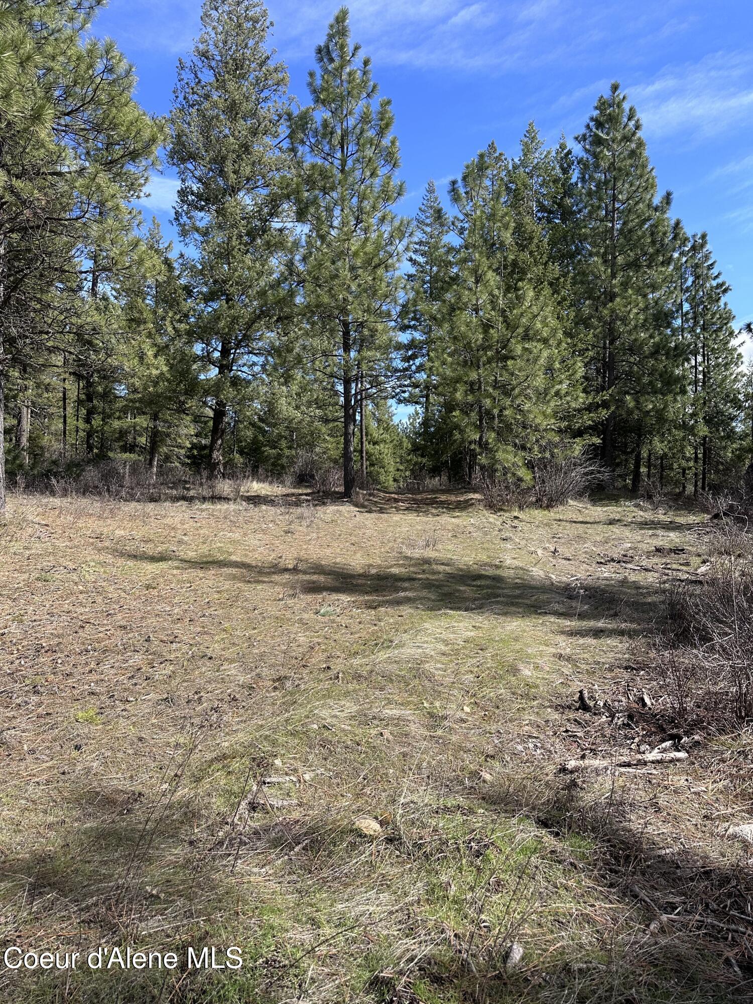 Nka North Whittum Road Priest River, ID 83856 - Photo 8 of 12 IMG_3908
