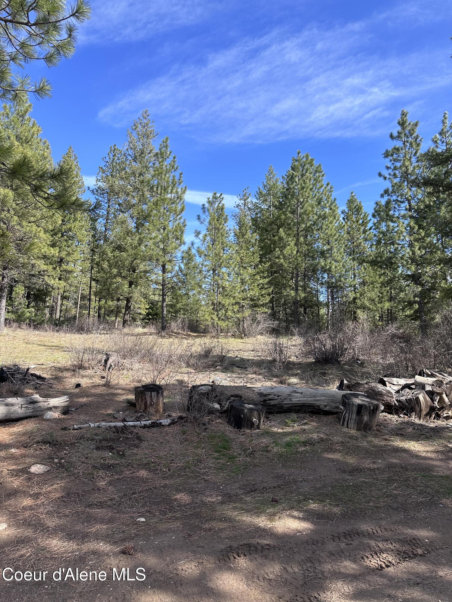 Nka North Whittum Road Priest River, ID 83856 - Photo 10 of 12 IMG_3910
