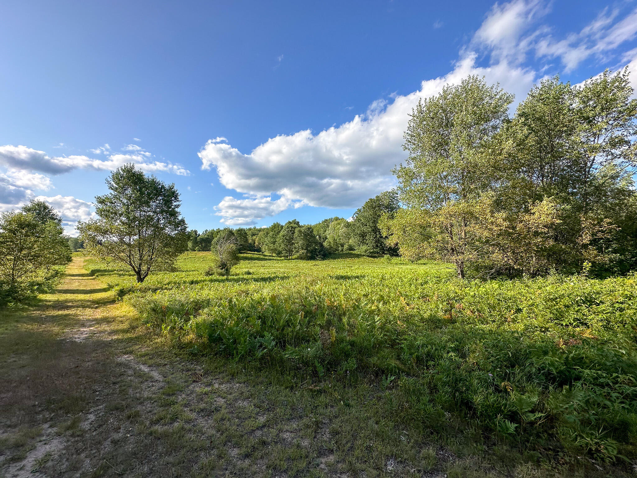 17219 7 Mile Road Reed City, MI 49677 - Photo 50 of 68 S Center Landscape
