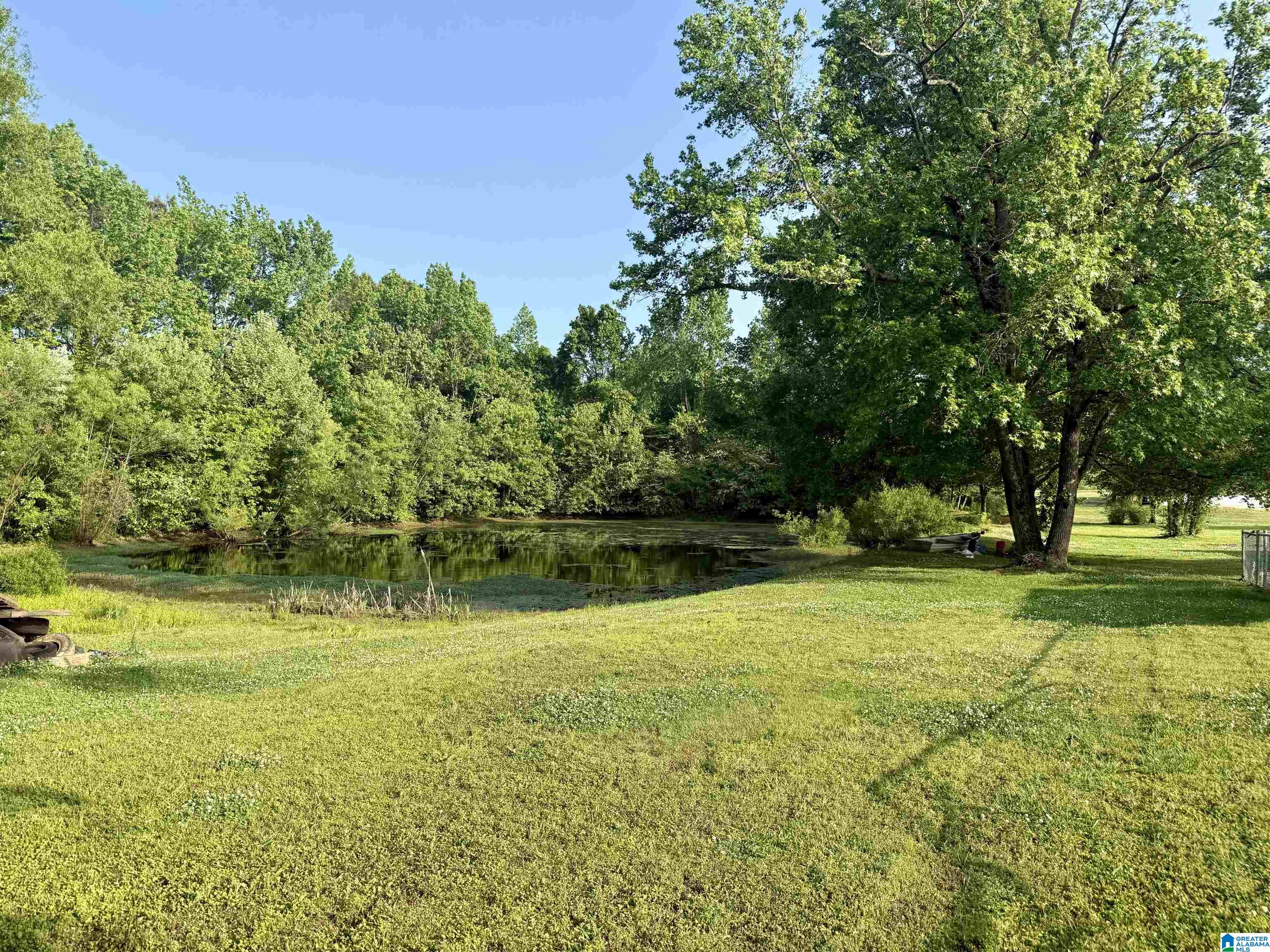151 Friendship Road Altoona, AL 35952 - Photo 24 of 41