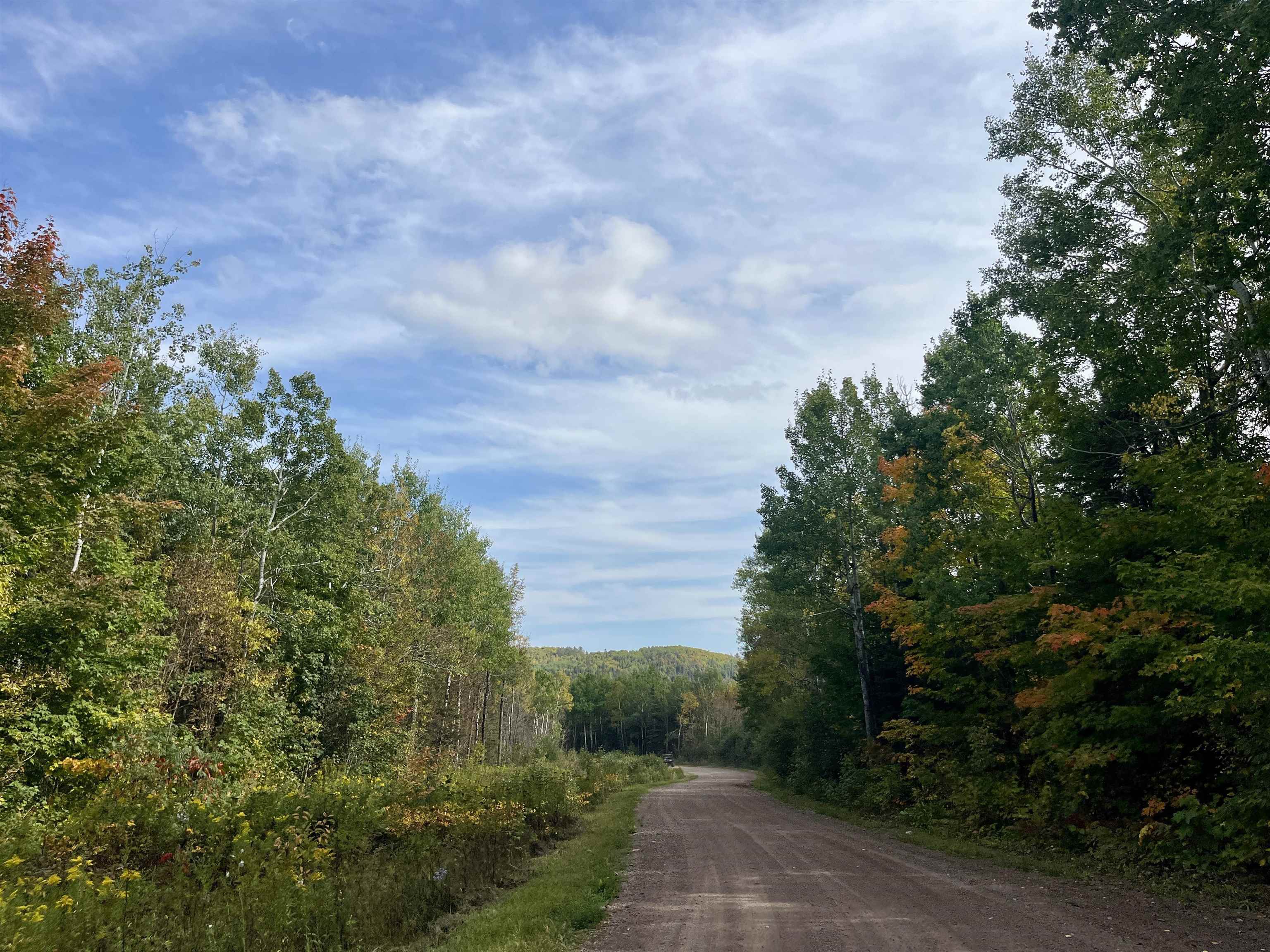 4272 Birdshot Road Silver Bay, MN 55614 - Photo 15 of 15 View of dirt / gravel road featuring a wooded view