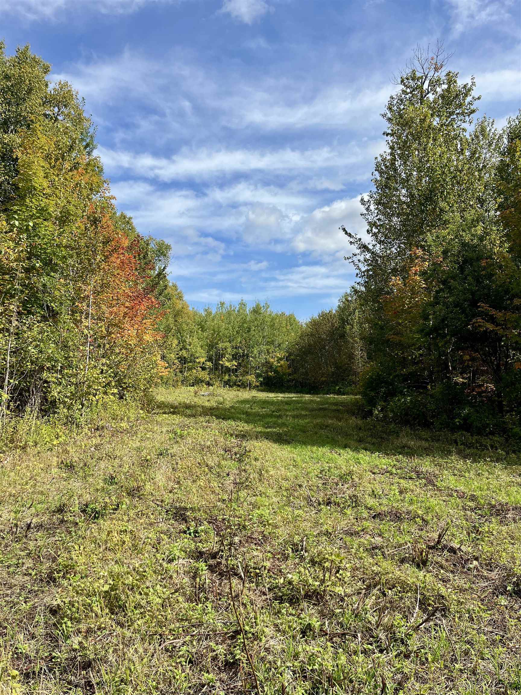 4272 Birdshot Road Silver Bay, MN 55614 - Photo 4 of 15 View of yard with a wooded view