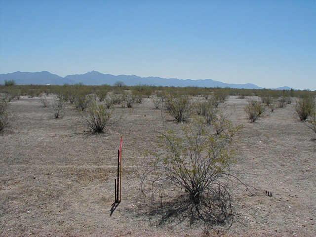 21102 West Spur Road, Unit 5 Buckeye, AZ 85326 - Photo 3 of 6 Additional Photo