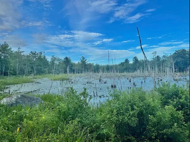 $44,000 | Lot 31 Lane Road, Cherryfield, ME 04622