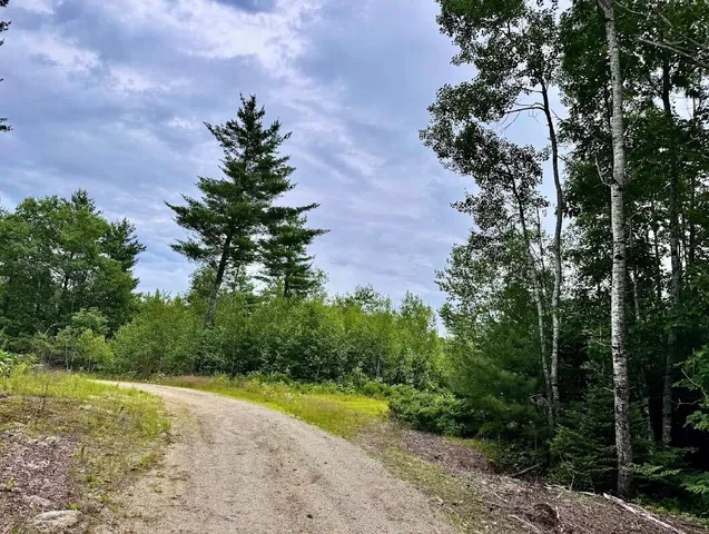 $44,000 | Lot 31 Lane Road, Cherryfield, ME 04622