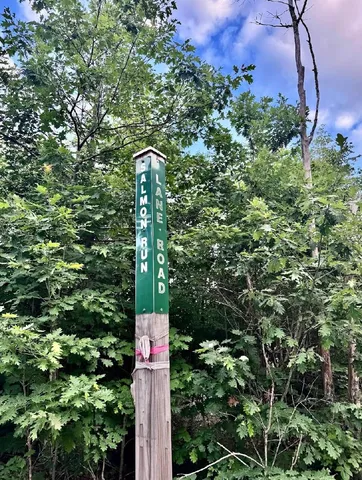 $44,000 | Lot 31 Lane Road, Cherryfield, ME 04622