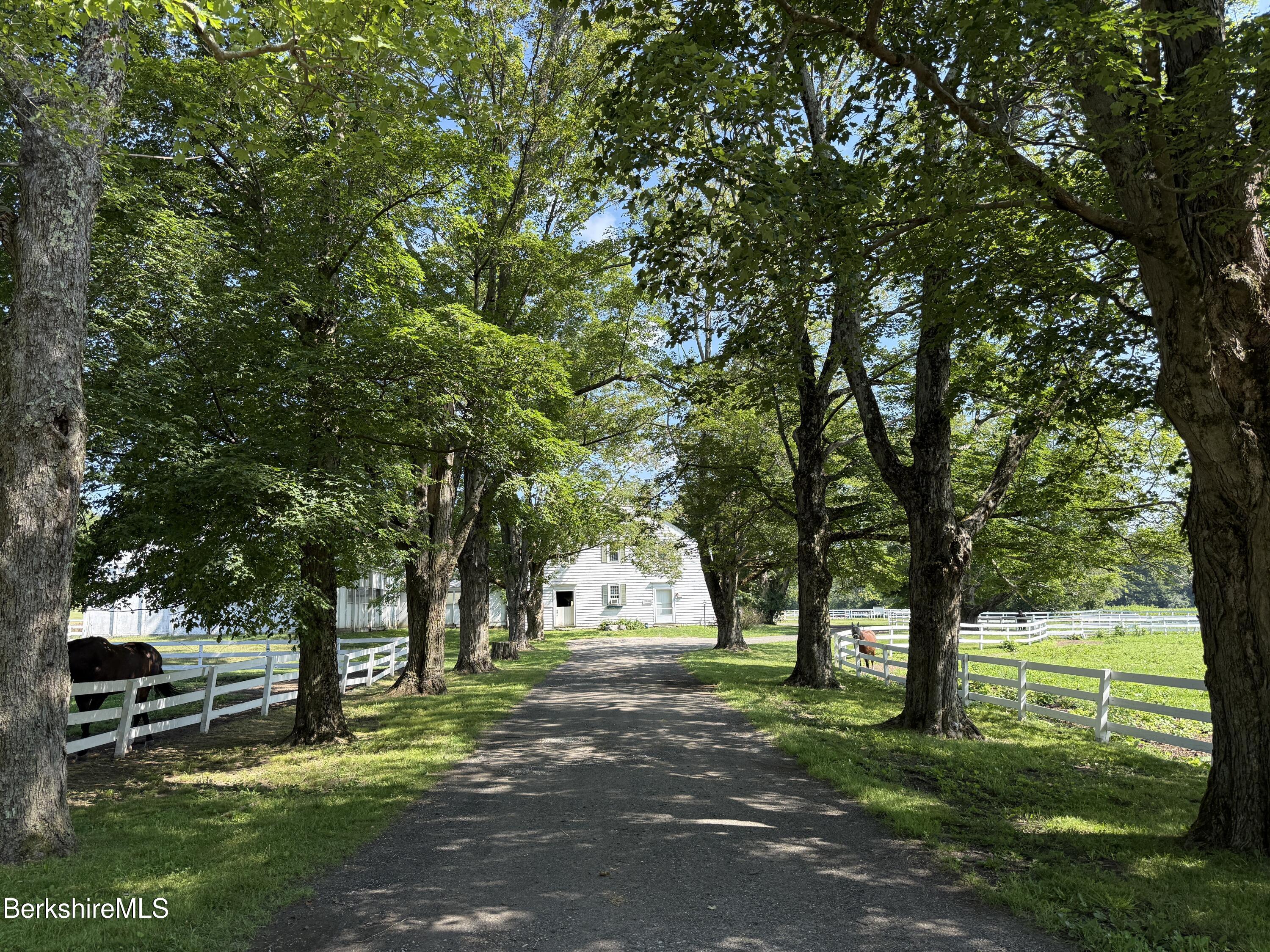 802 State Road Richmond, MA 01254 - Photo 43 of 43 Beautiful path