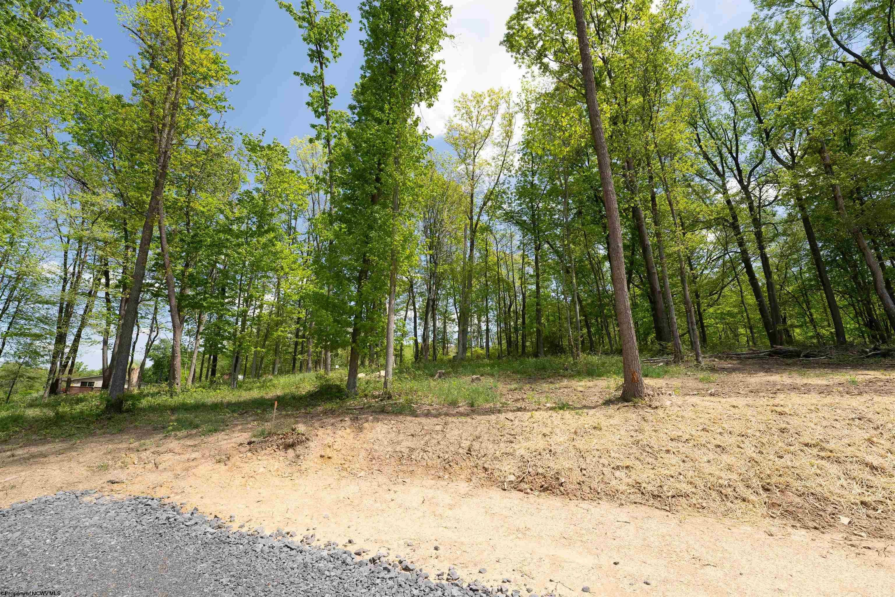 Lot 12 Raspberry Village Morgantown, WV 26505 - Photo 2 of 5 Gallery Image 2