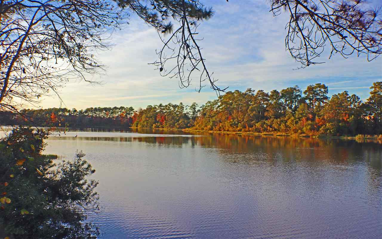 111 Lake Front Drive Daphne, AL 36526 - Photo 9 of 11 lake