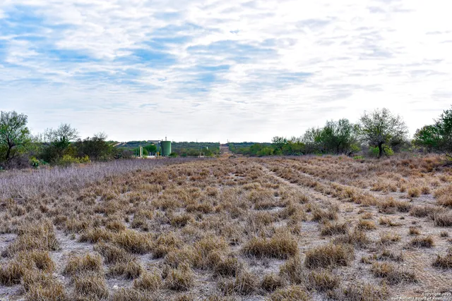 a view of a dry yard with wooden fence
