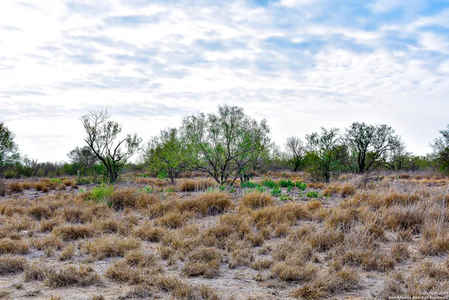 a view of a field with trees around