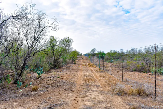 a view of a road with a tree
