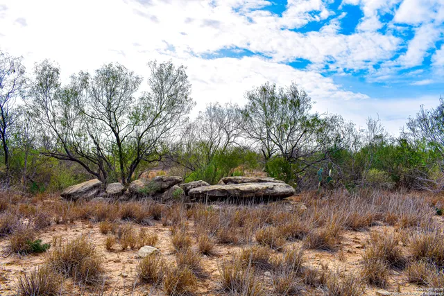 a view of a lake with a tree