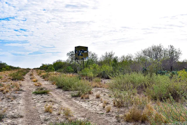 a view of a city with trees in the background