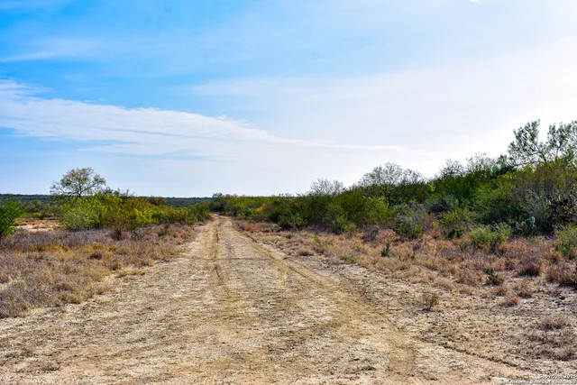 a view of a lake with a beach