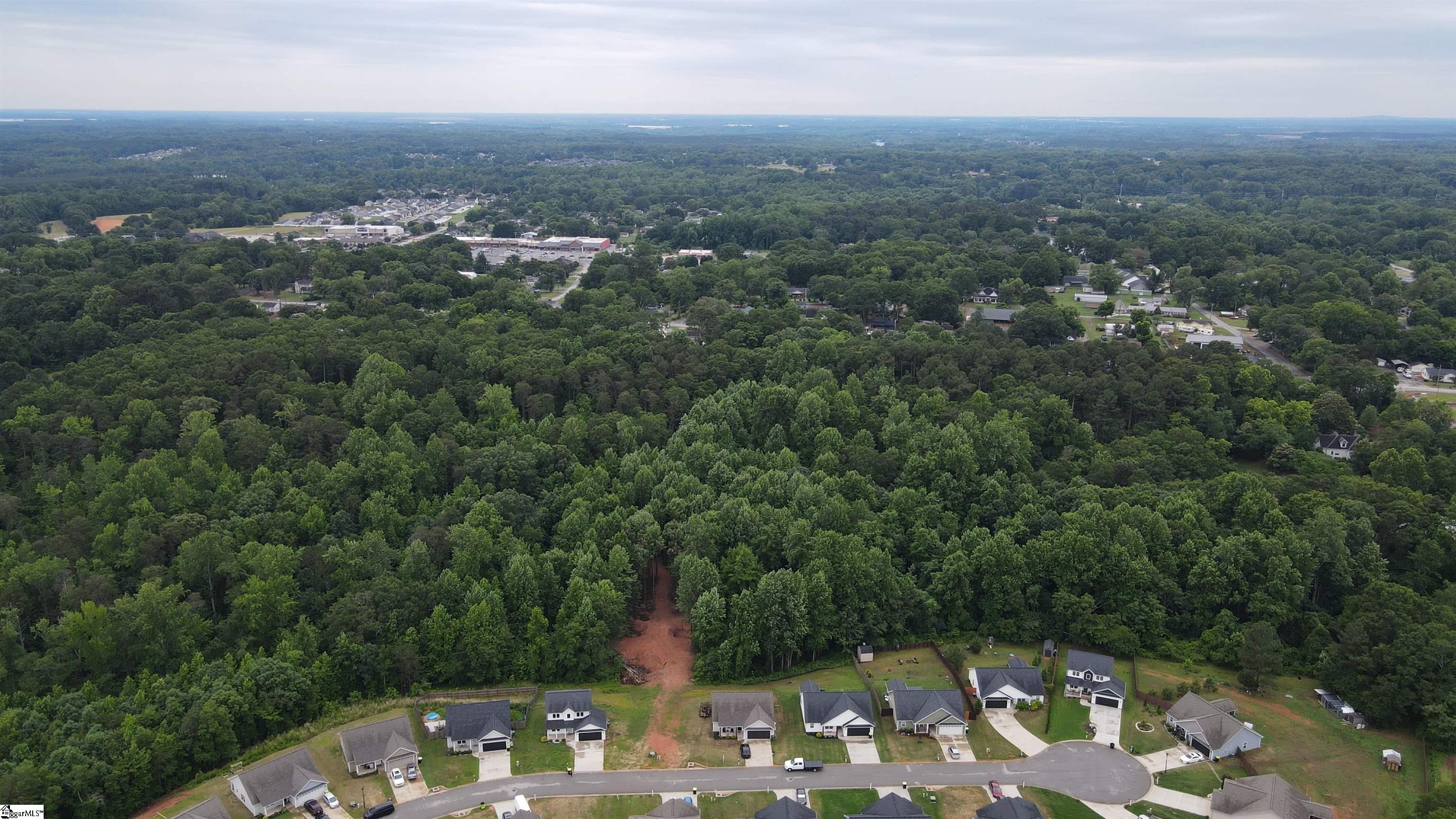 3161 Lorenzo Court Inman, SC 29349 - Photo 26 of 26