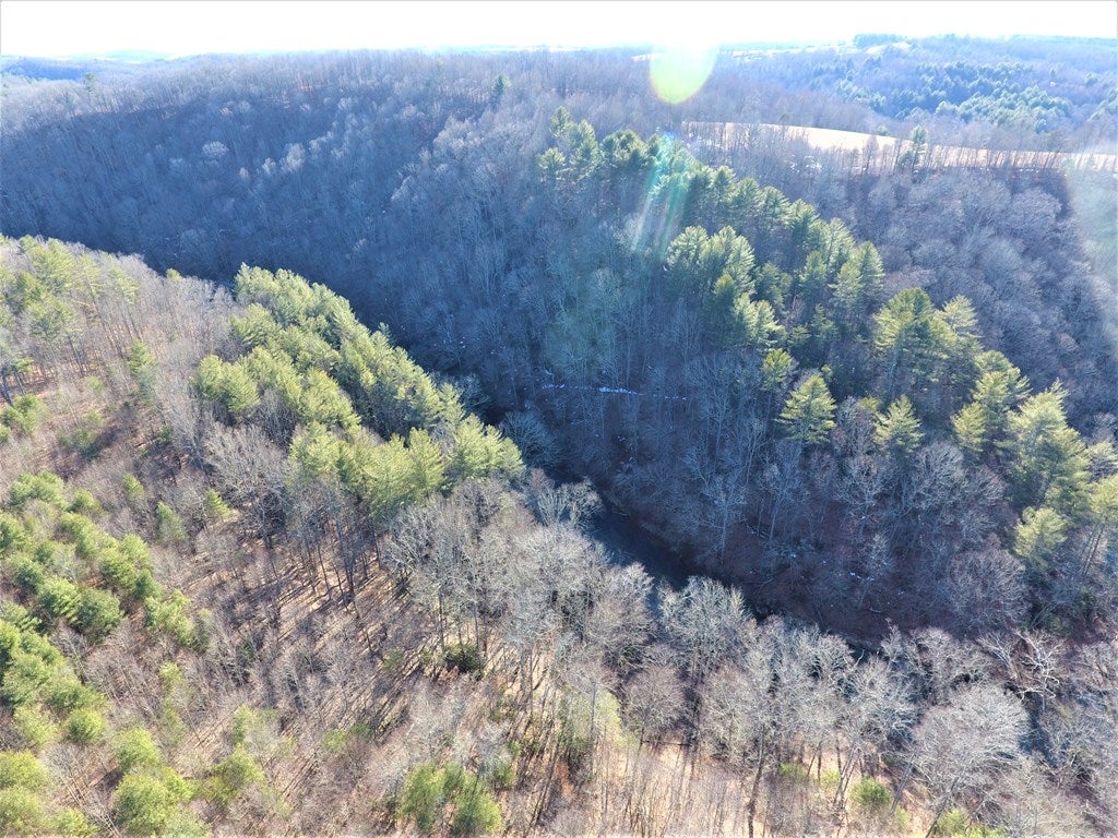 Tbd Old Jackson Mill Road, Unit 1 Laurel Fork, VA 24352 - Photo 8 of 16 Gallery Image 8