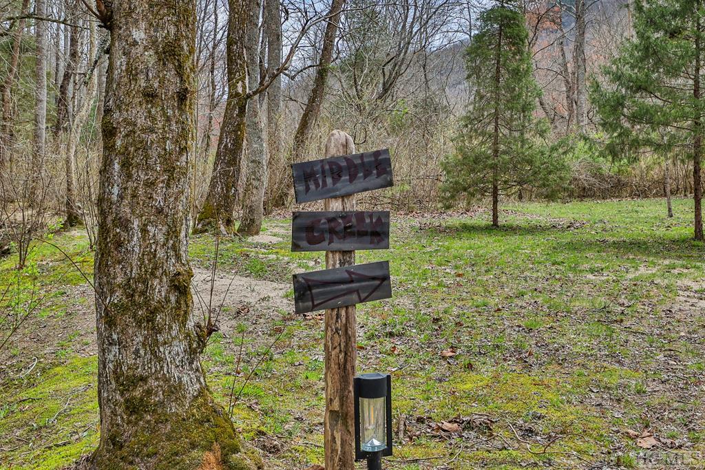 3051 Middle Creek Road Otto, NC 28763 - Photo 28 of 36 Gallery Image 28
