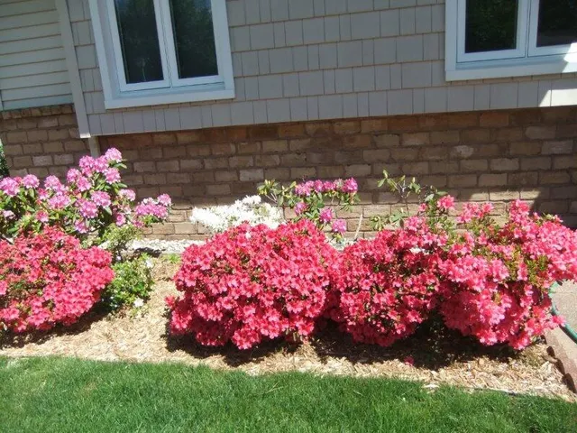 $435,900 | 2921 Rosewood Street, Hudsonville, MI 49426