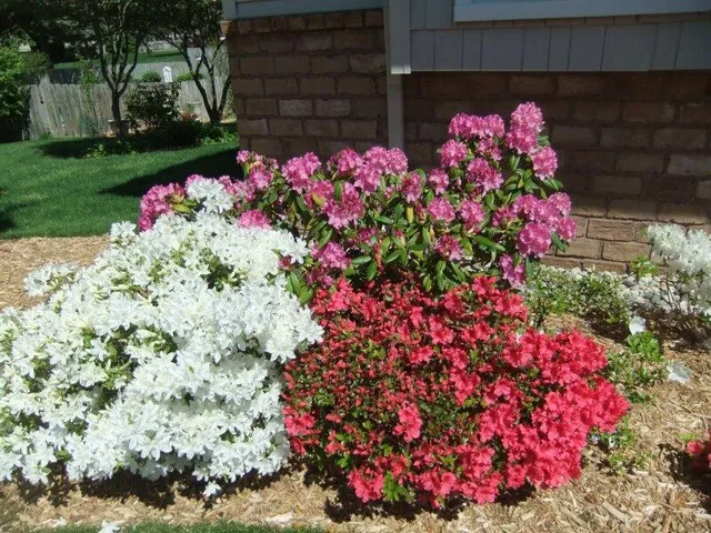 $435,900 | 2921 Rosewood Street, Hudsonville, MI 49426