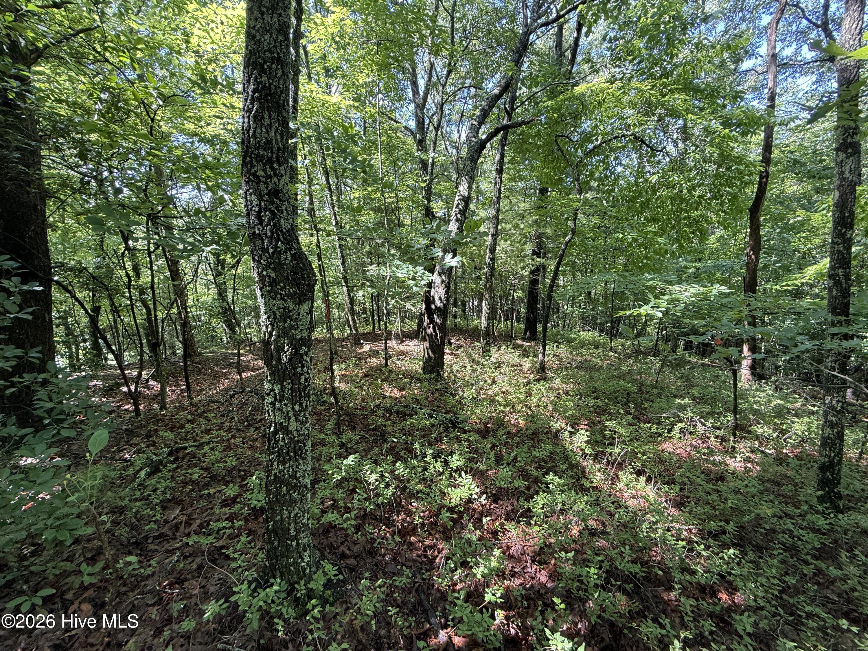81 Roberts Road Murphy, NC 28906 - Photo 7 of 9