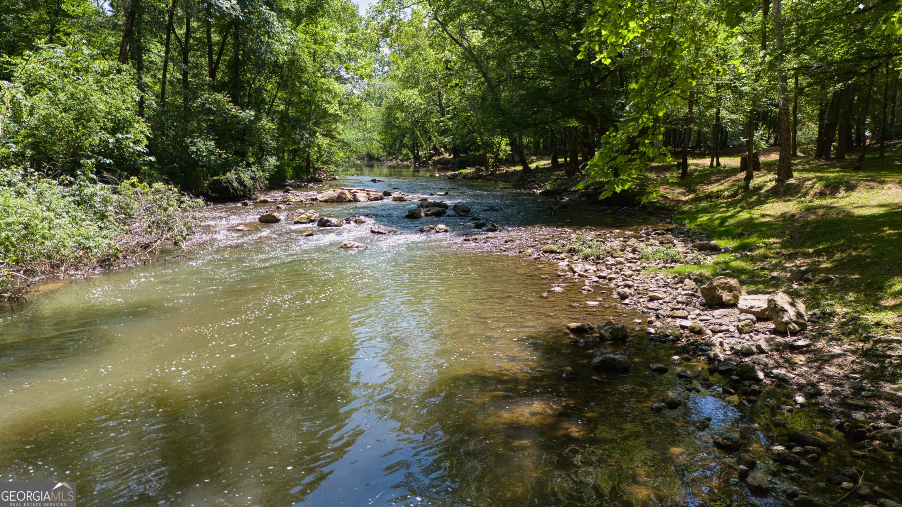 610 Kings Bridge Road Cave Spring, GA 30124 - Photo 70 of 72 a view of swimming pool with a yard and large trees