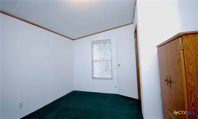 a view of a yard with plants and trees