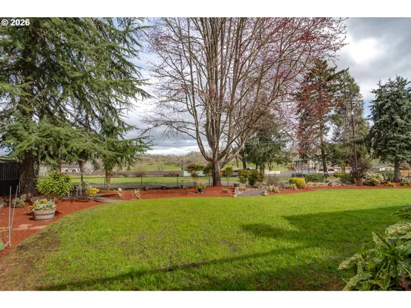 a view of a park with large trees