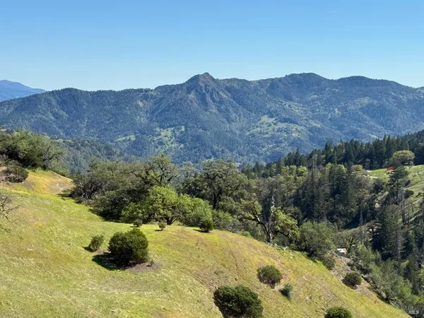 a view of a backyard with a mountain