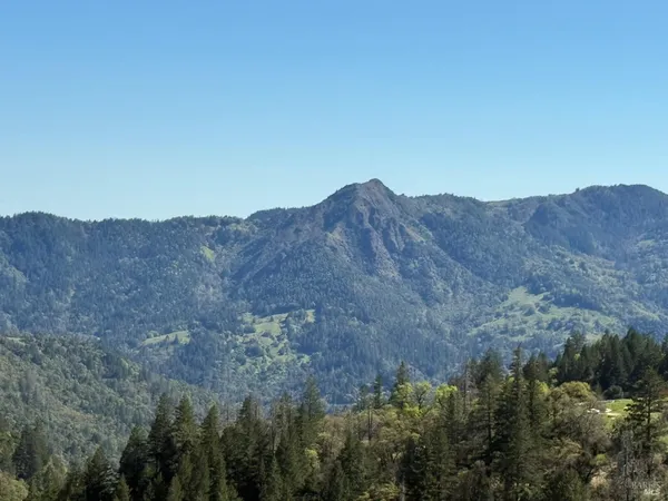 a picture of lake view