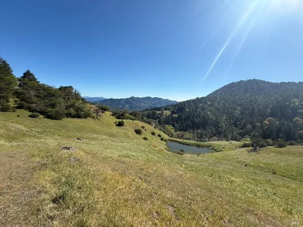 a view of a lush green field