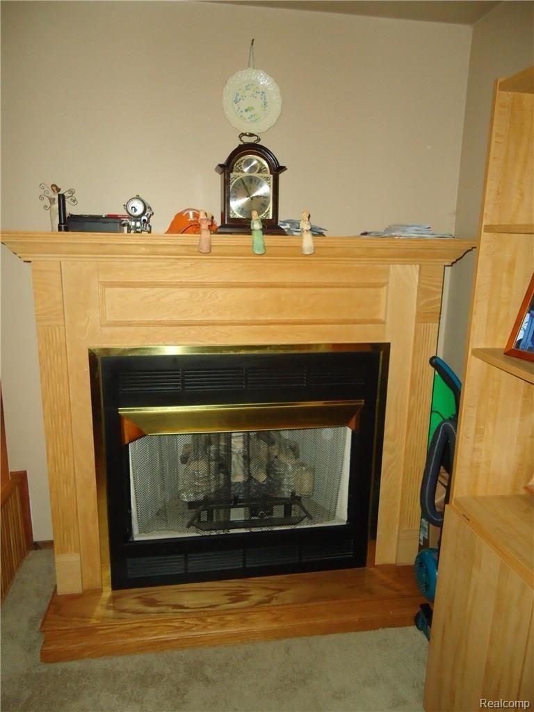 341 Carleton Rockwood Road Carleton, MI 48117 - Photo 9 of 26 GAS FIREPLACE IN LIVING ROOM