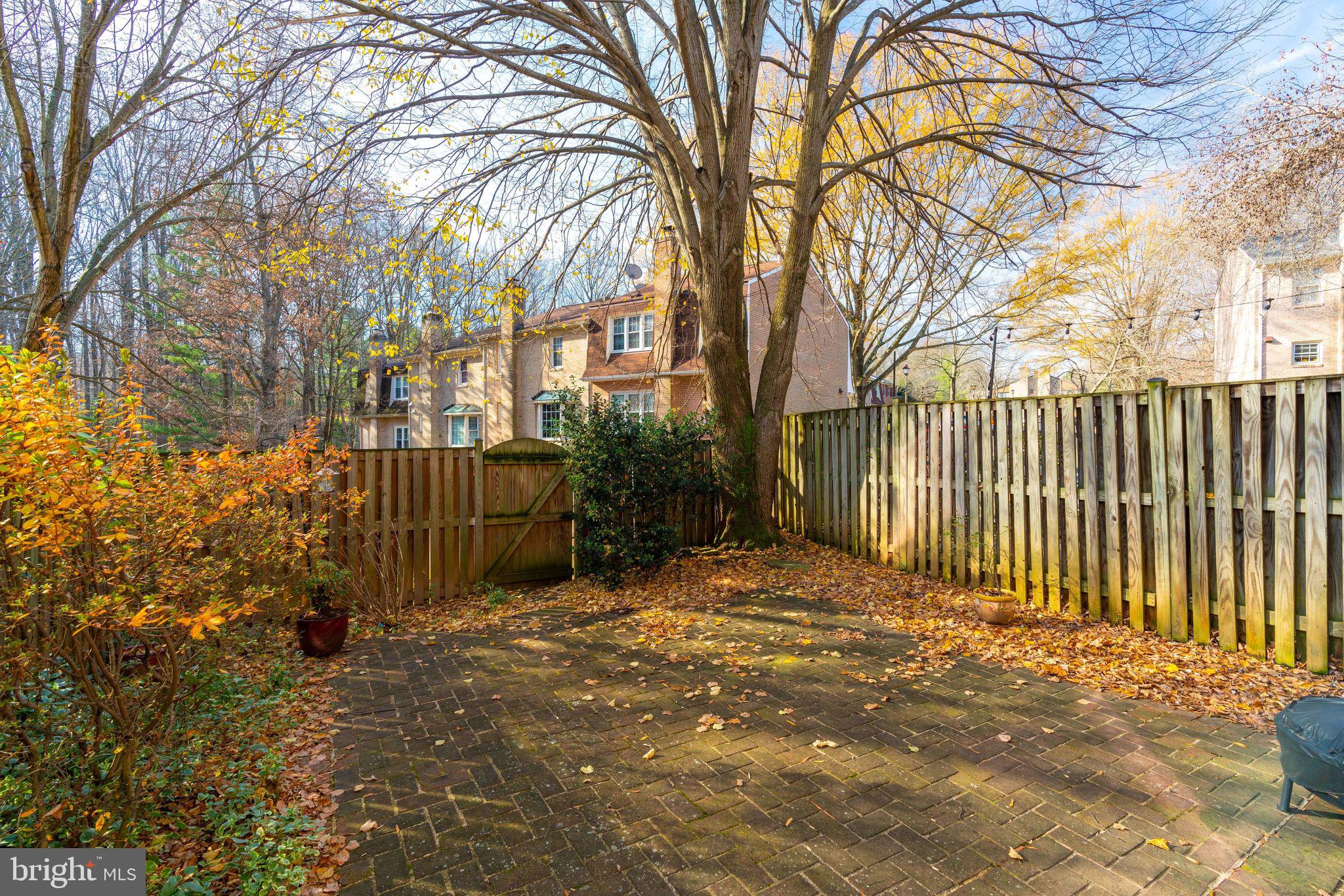 8969 Omega Court Springfield, VA 22152 - Photo 42 of 46 Back yard exterior