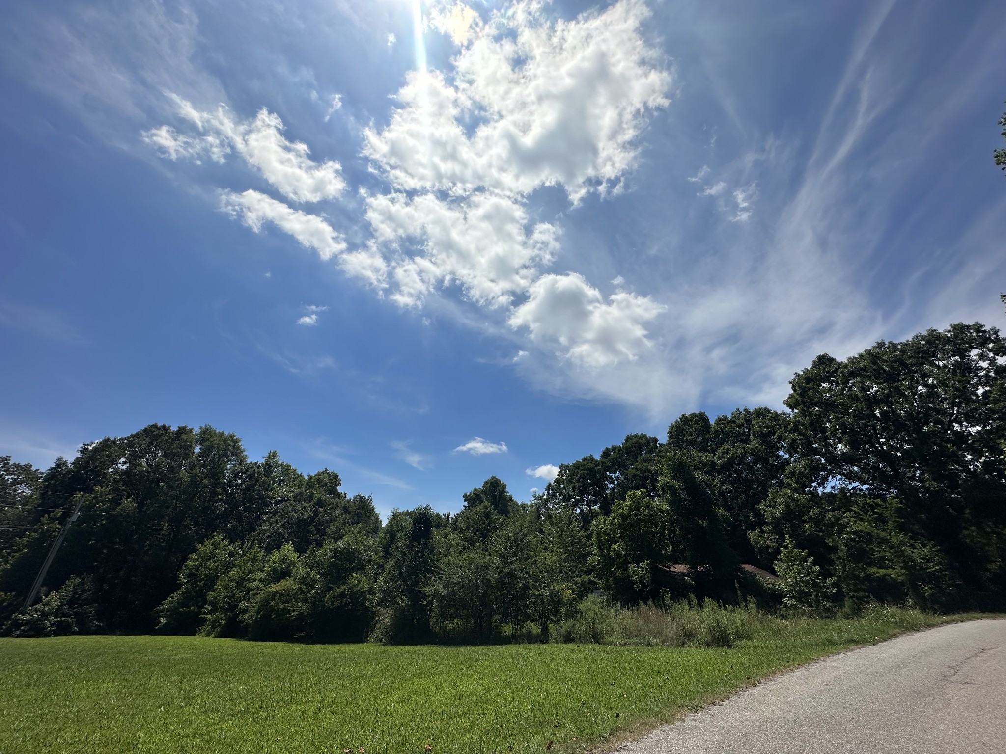 0 Terrell Road Erin, TN 37061 - Photo 1 of 11 a view of a big yard with lots of green space and mountain view in back